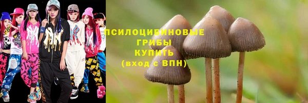 меф Арсеньев