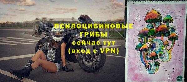 меф Арсеньев