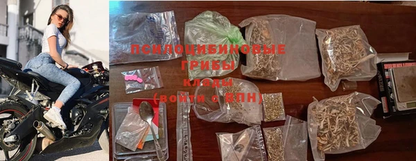 меф Арсеньев