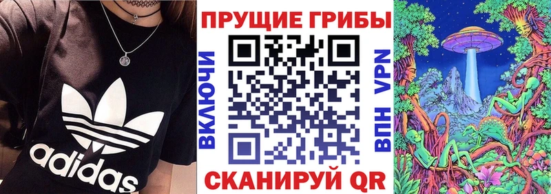 Галлюциногенные грибы прущие грибы  Руза 